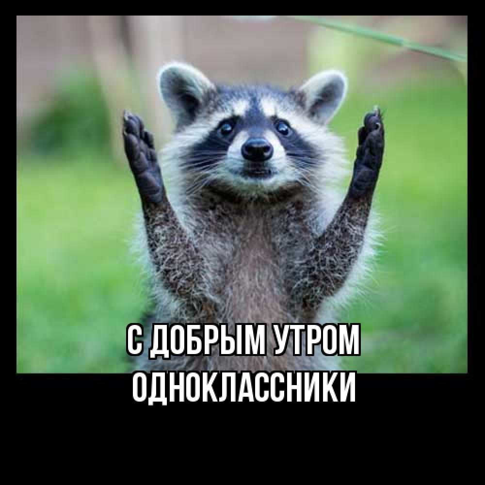 Открытка  с именем. Одноклассники, С добрым утром  