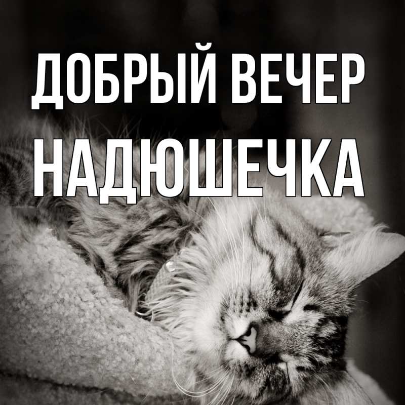 Картинка Добрый вечер, Надюшечка
