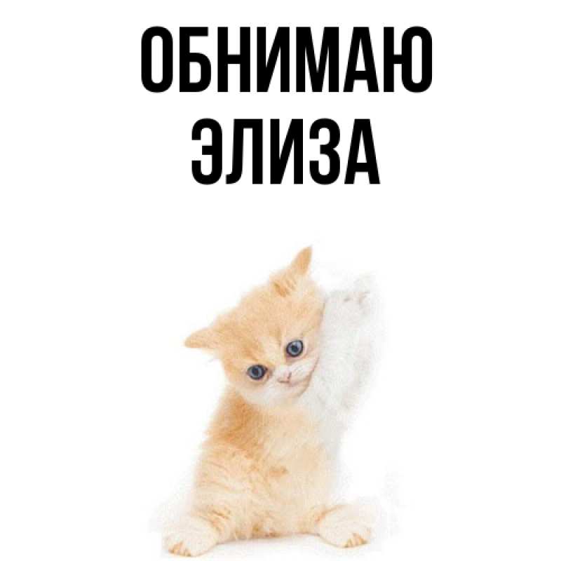 Картинка Обнимаю, Элиза