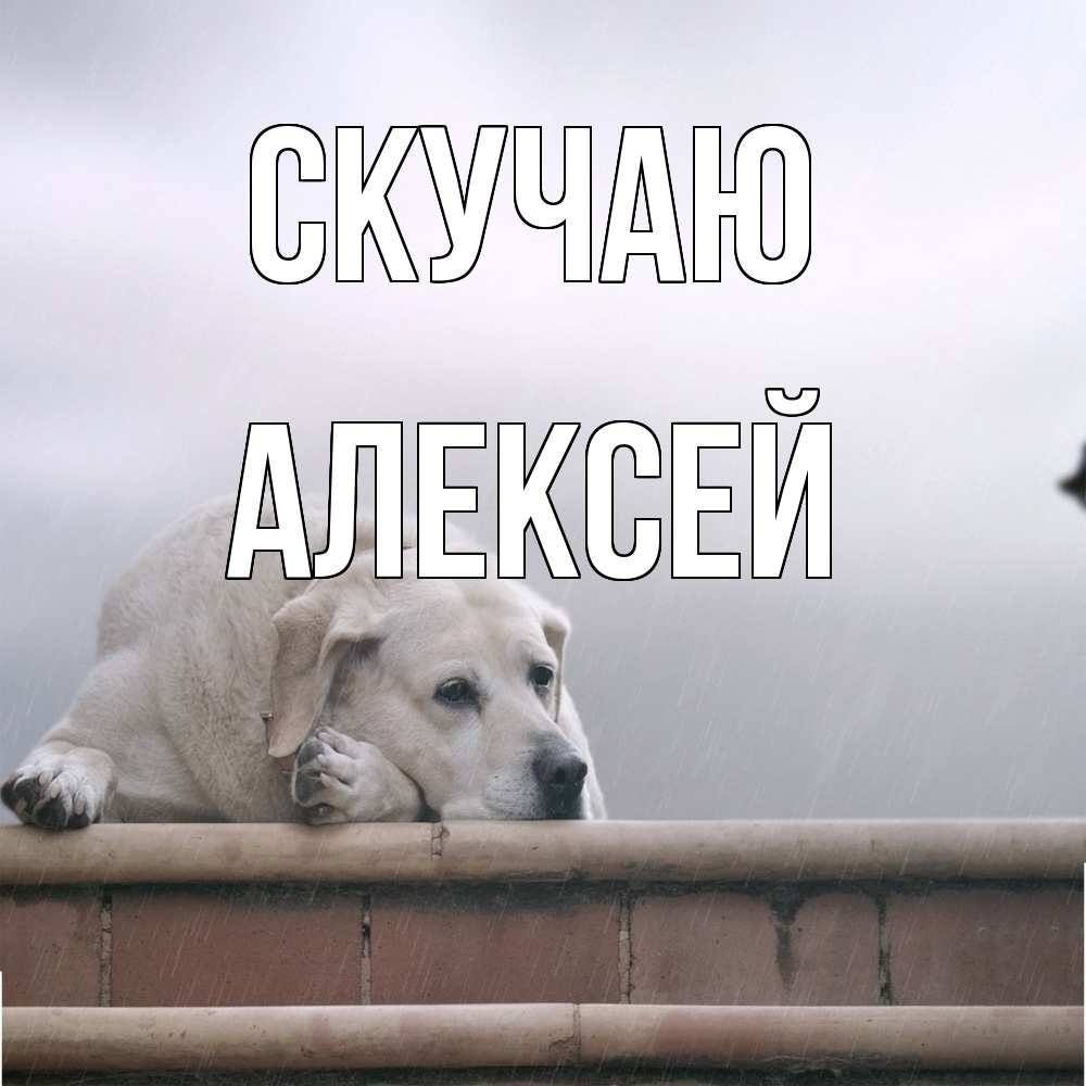 Открытка  с именем. Алексей, Скучаю  