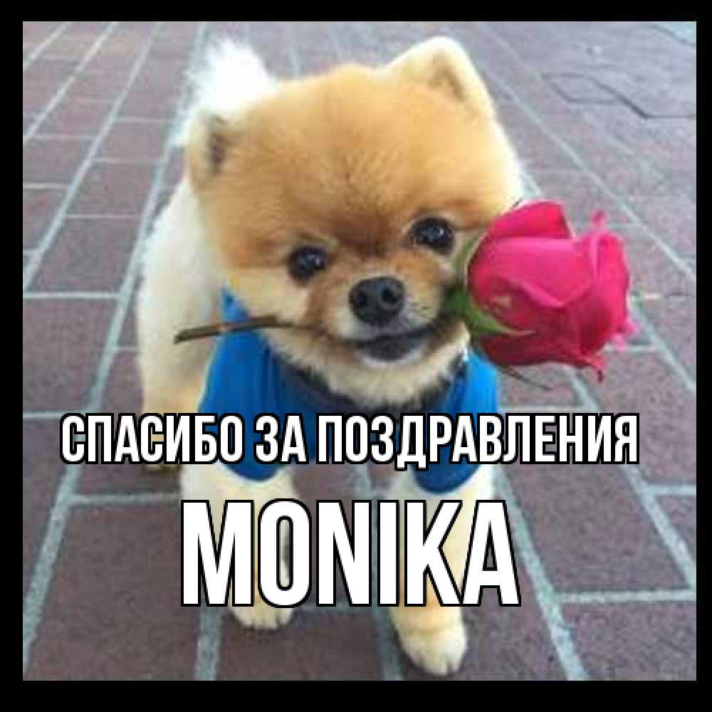 Открытка  с именем. Monika, Спасибо за поздравления  