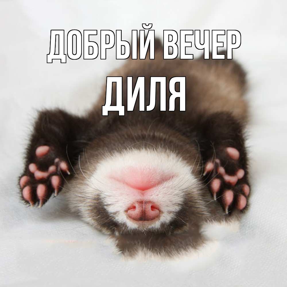 Открытка  с именем. Диля, Добрый вечер  