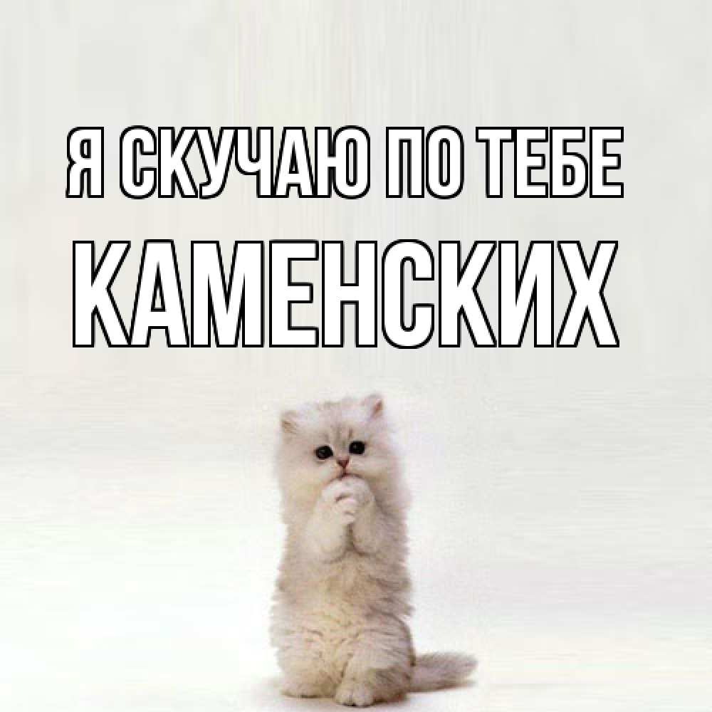Открытка  с именем. Каменских, Я скучаю по тебе  