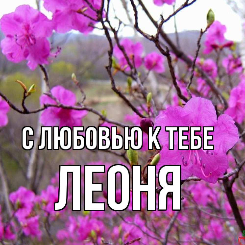 Открытка  с именем. Леоня, С любовью к тебе  