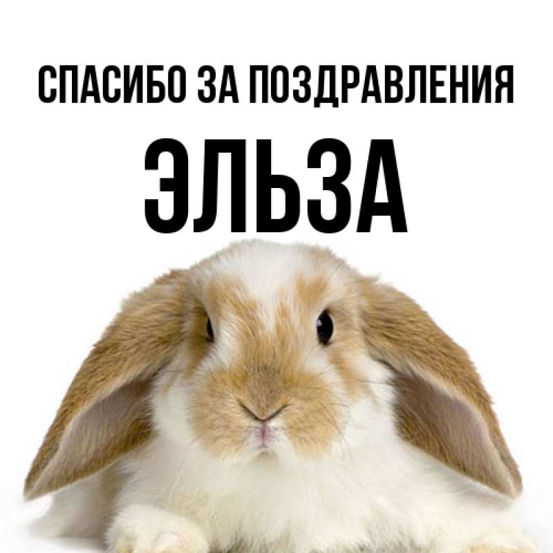 Картинка Спасибо за поздравления, Эльза