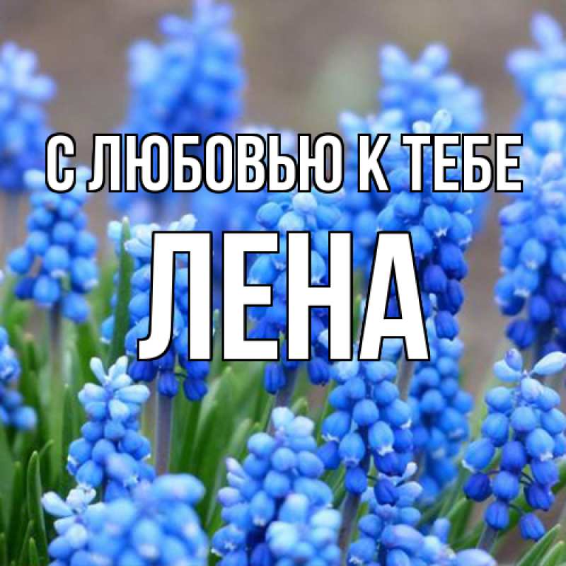Картинка С любовью к тебе, лена