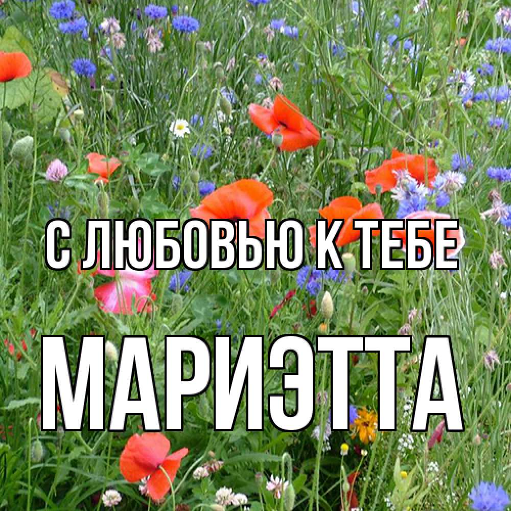 Открытка  с именем. Мариэтта, С любовью к тебе  