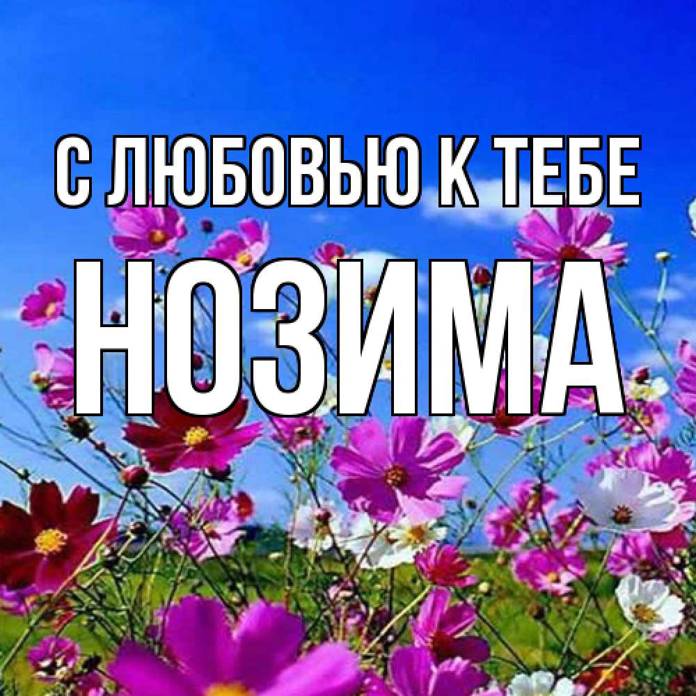 Открытка  с именем. НОЗИМА, С любовью к тебе  