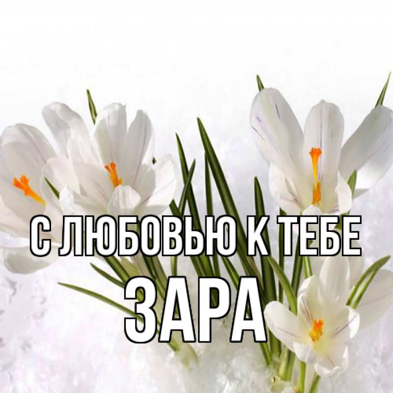 Картинка С любовью к тебе, Зара