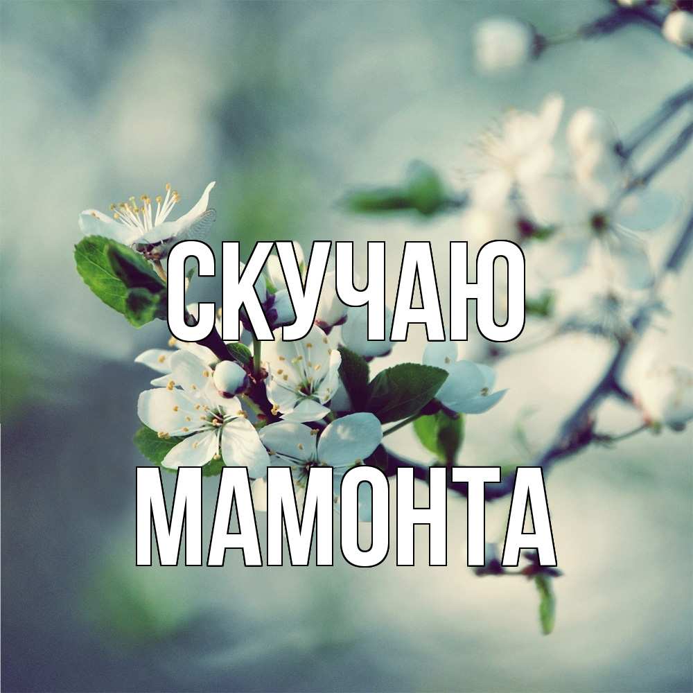 Открытка  с именем. МАМОНТА, Скучаю  