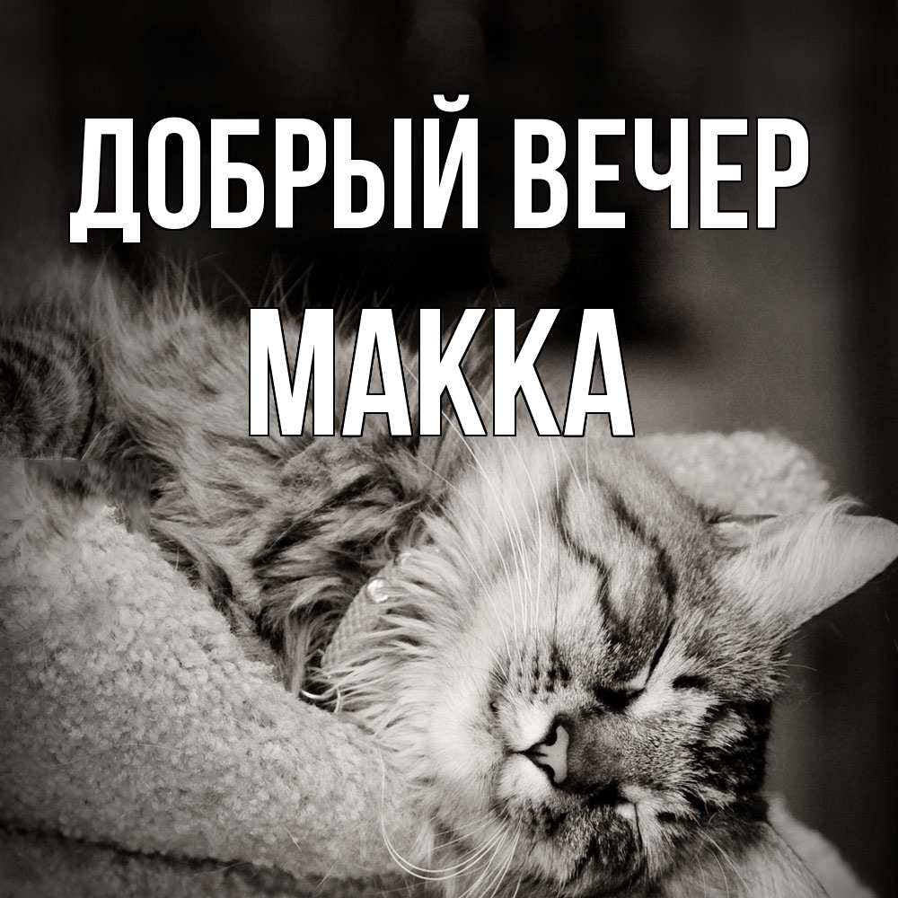 Открытка  с именем. Макка, Добрый вечер  