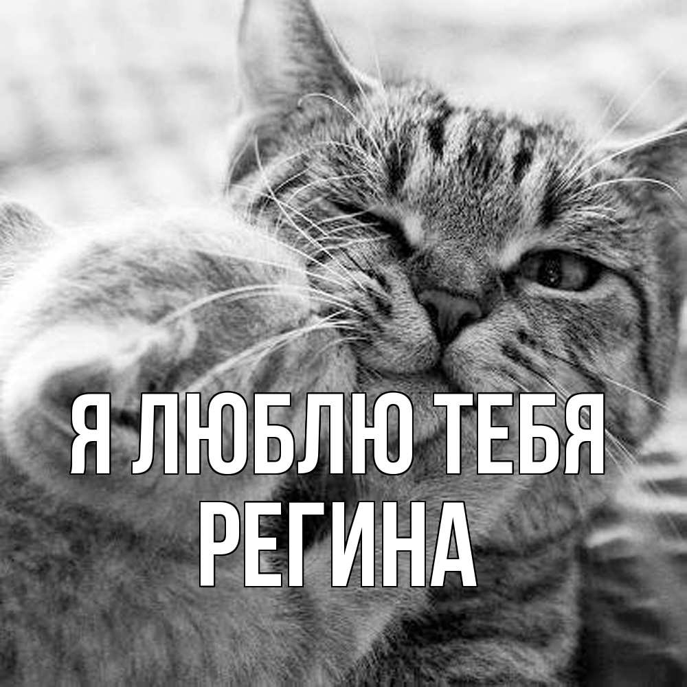 Открытка  с именем. Регина, Я люблю тебя  