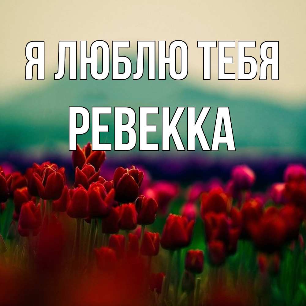 Открытка  с именем. Ревекка, Я люблю тебя  