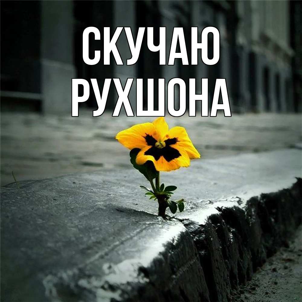Открытка  с именем. Рухшона, Скучаю  