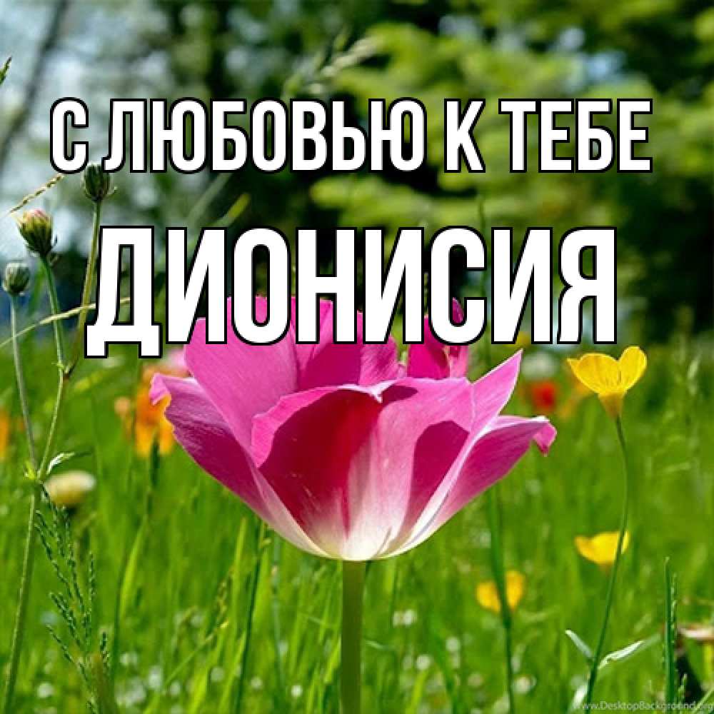 Открытка  с именем. Дионисия, С любовью к тебе  