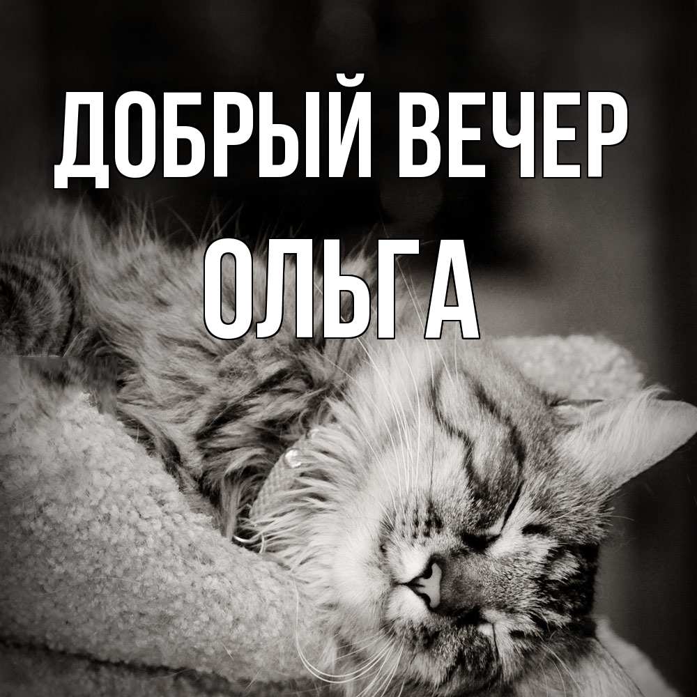 Открытка  с именем. Ольга, Добрый вечер  