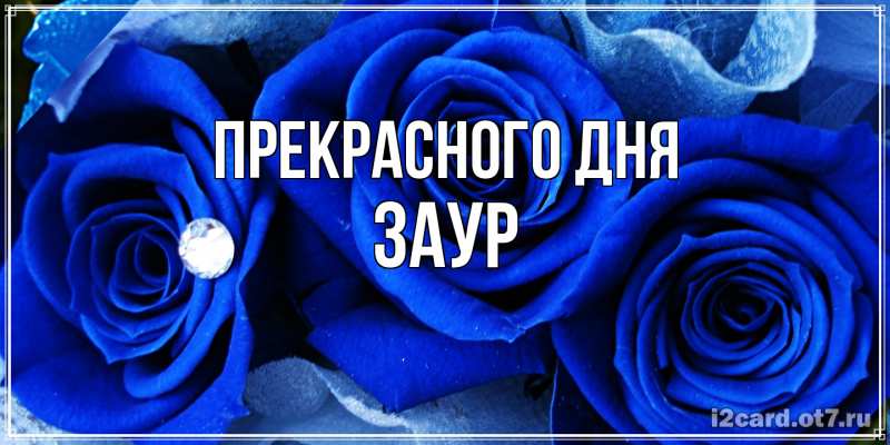 Картинка Прекрасного дня, Заур