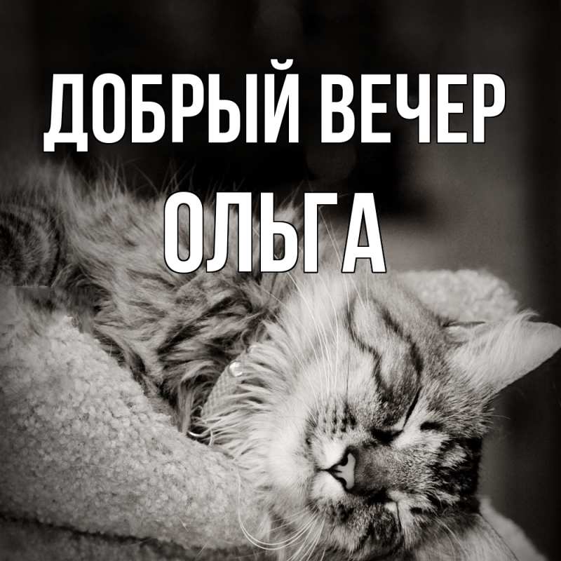 Картинка Добрый вечер, Ольга