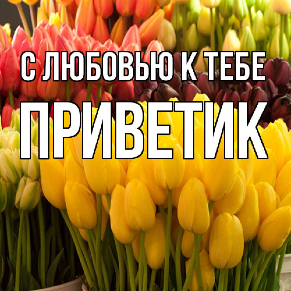 Открытка  с именем. приветик, С любовью к тебе  