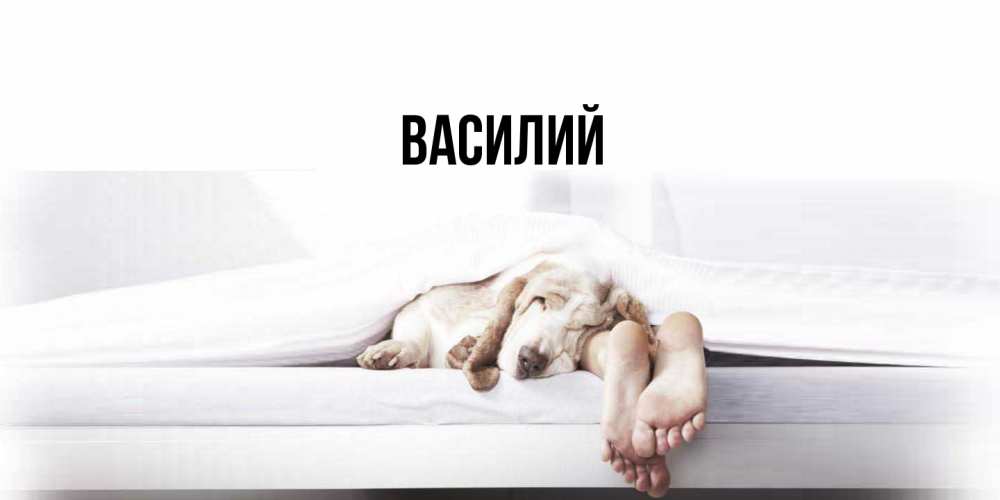 Открытка  с именем. Василий, Главная  