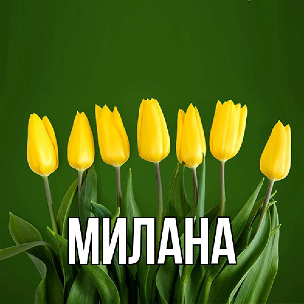 Открытка  с именем. Милана, Главная  