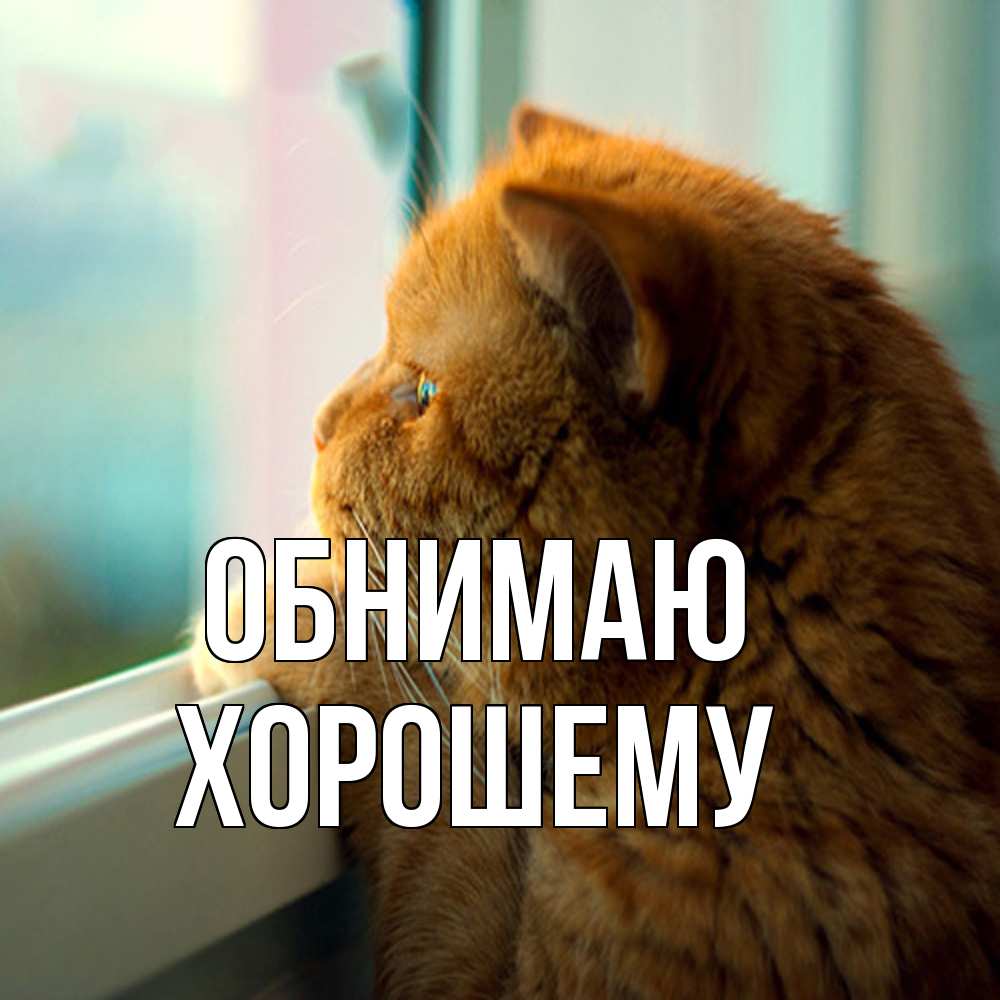 Открытка  с именем. Хорошему, Обнимаю  