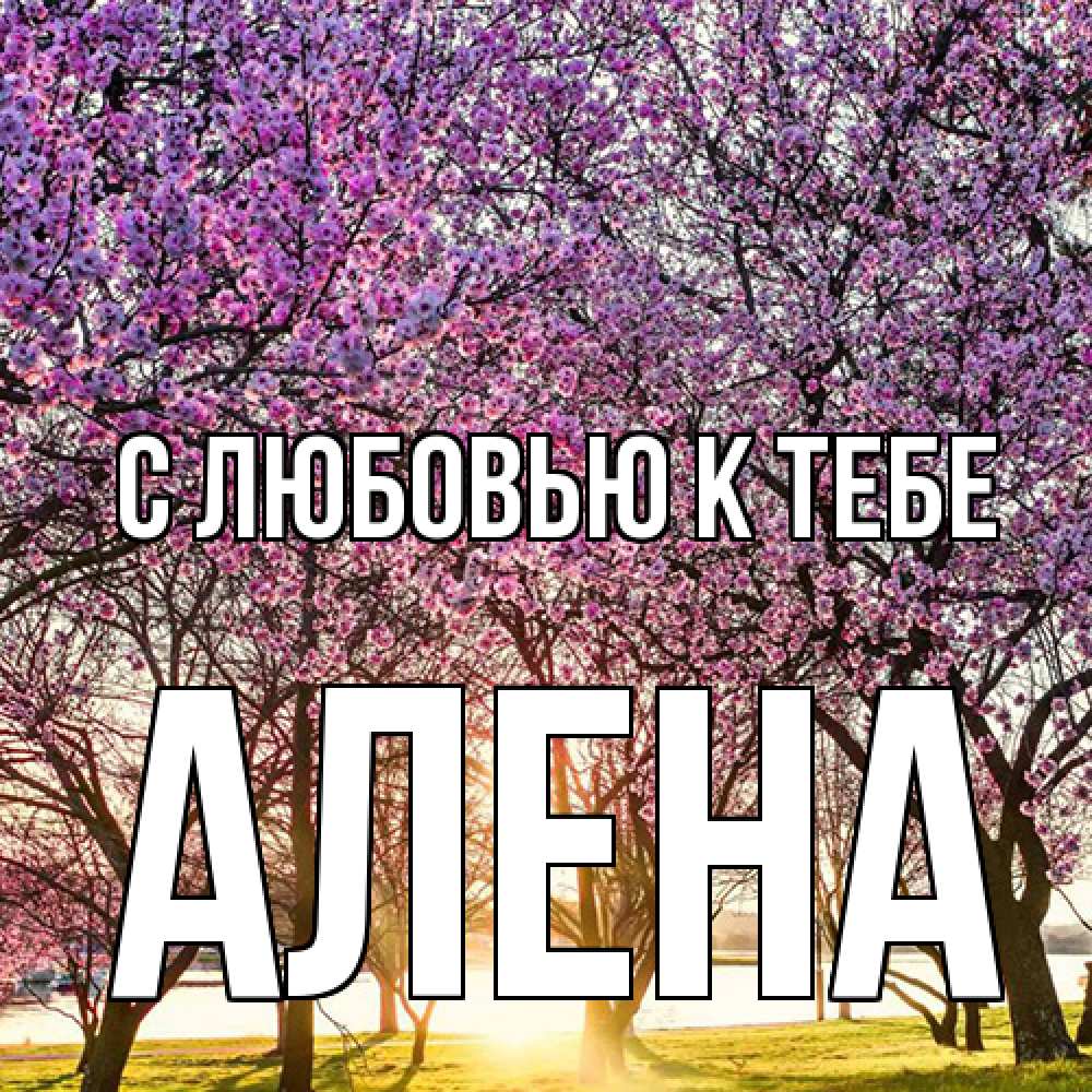 Открытка  с именем. Алена, С любовью к тебе  