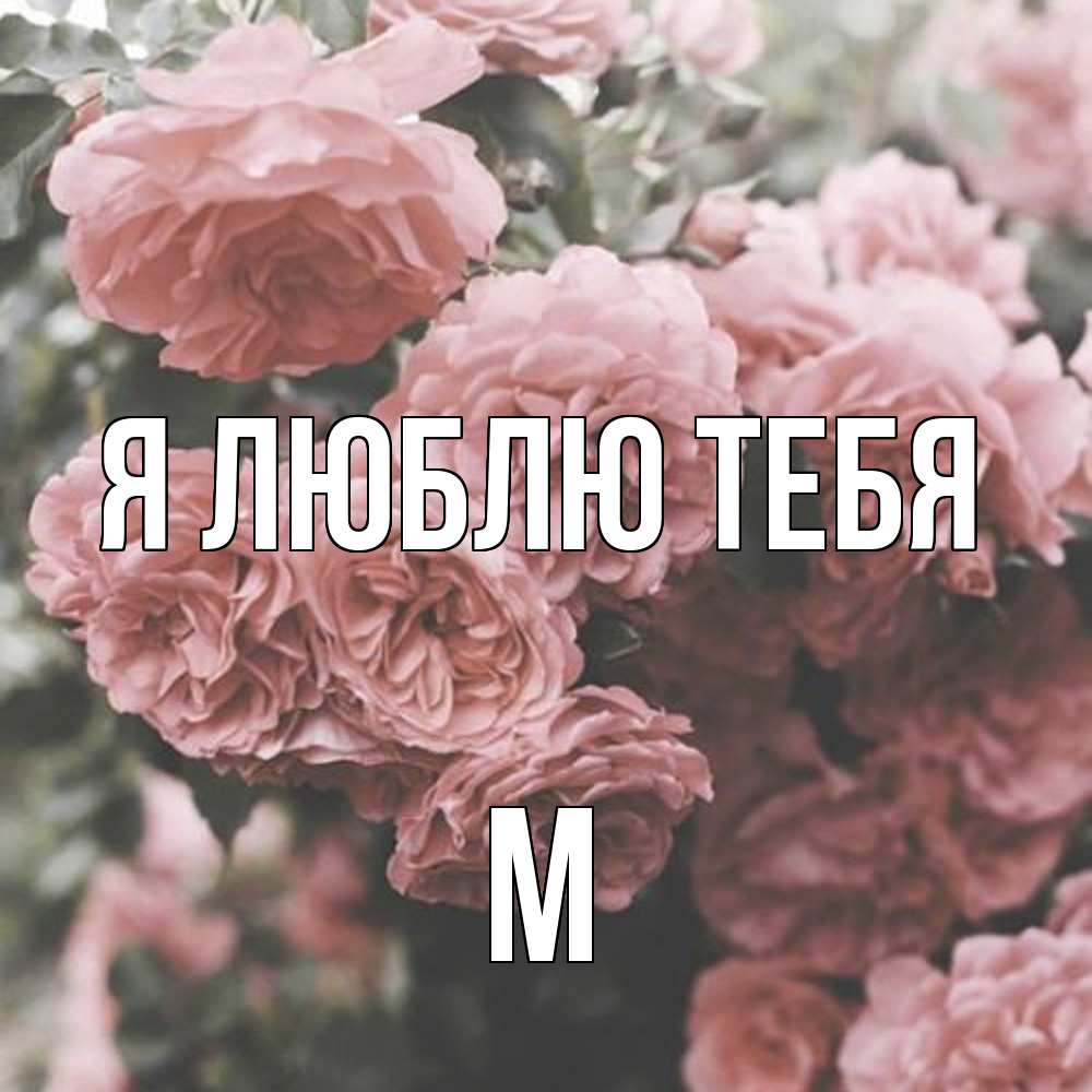 Открытка  с именем. М, Я люблю тебя  