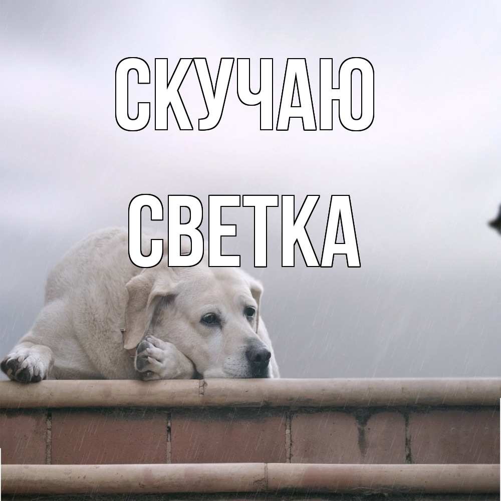 Открытка  с именем. Светка, Скучаю  