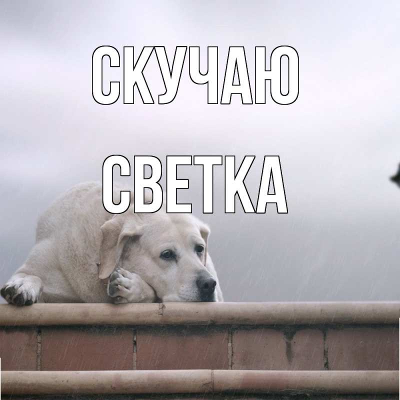 Картинка Скучаю, Светка
