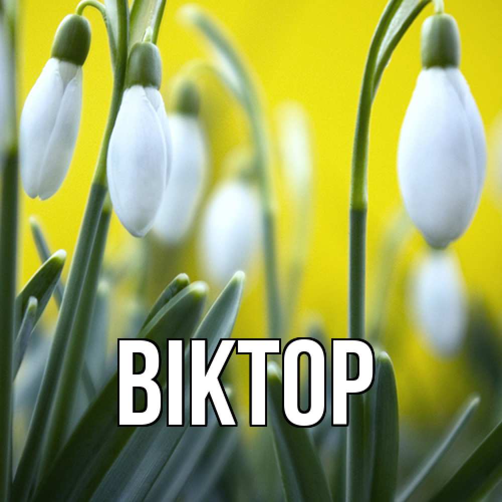 Открытка  с именем. Віктор, Главная  