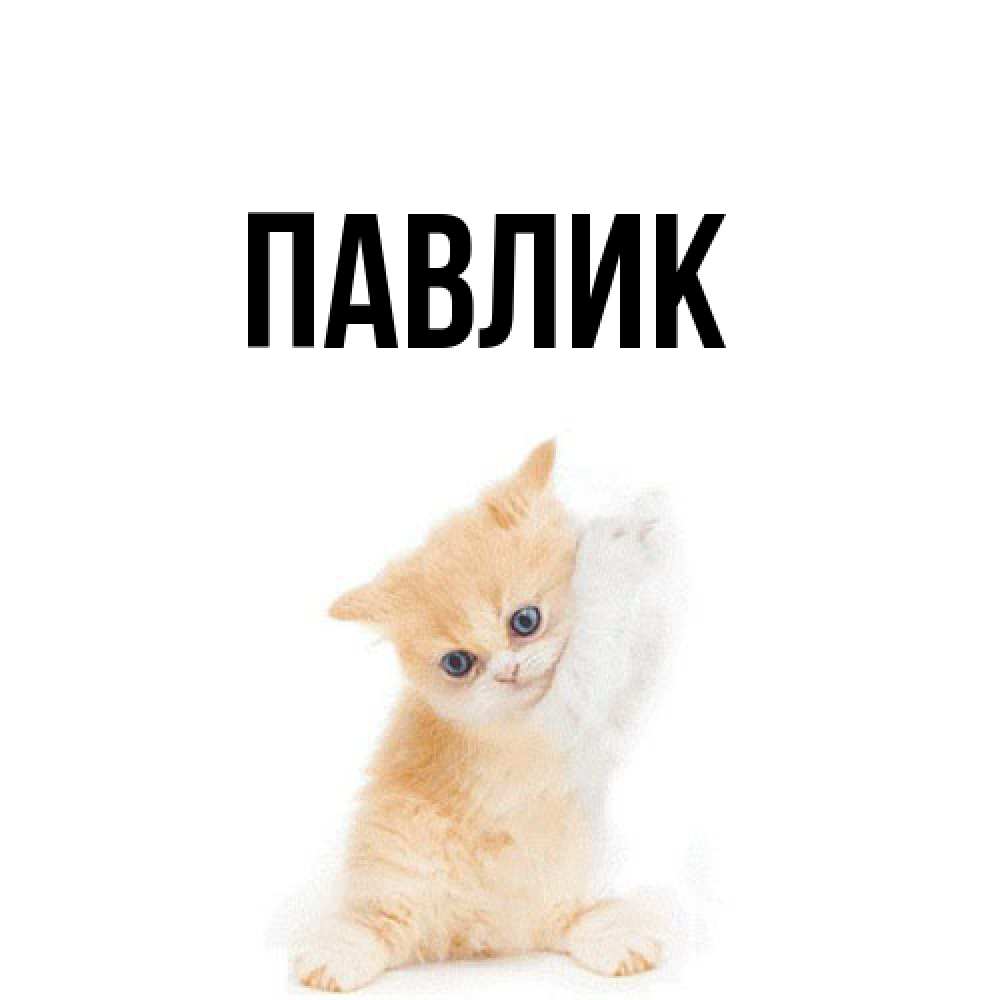 Открытка  с именем. Павлик, Главная  