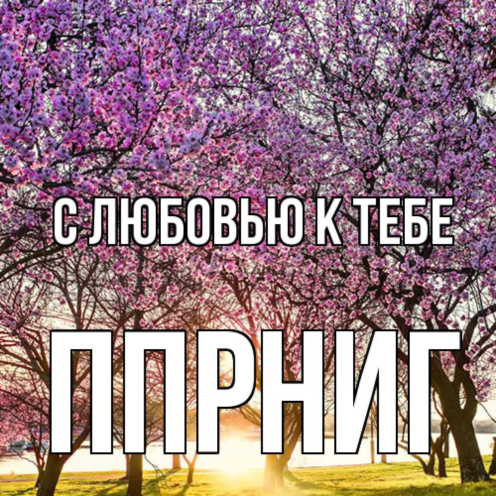 Открытка  с именем. Ппрниг, С любовью к тебе  