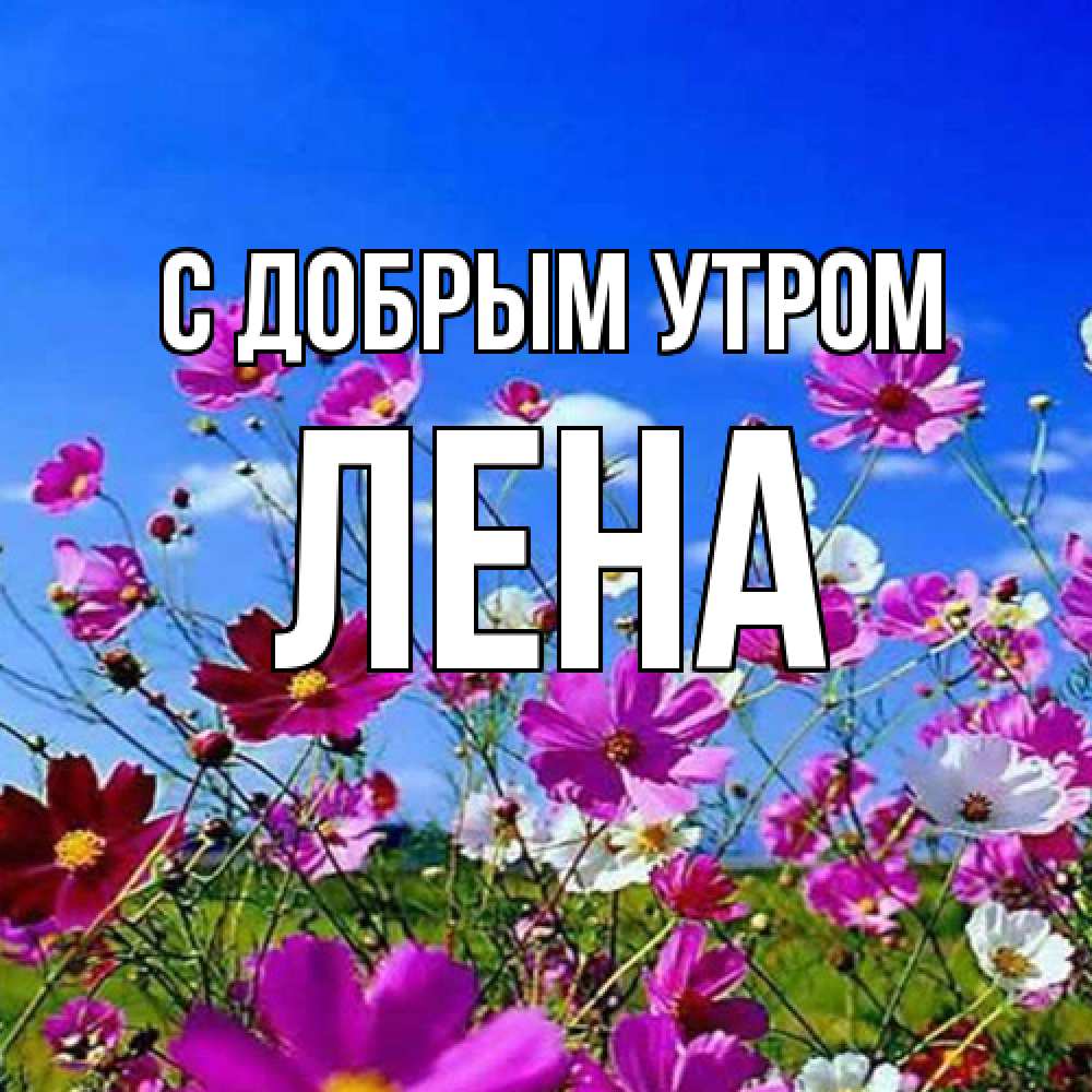 Открытка  с именем. Лена, С добрым утром  