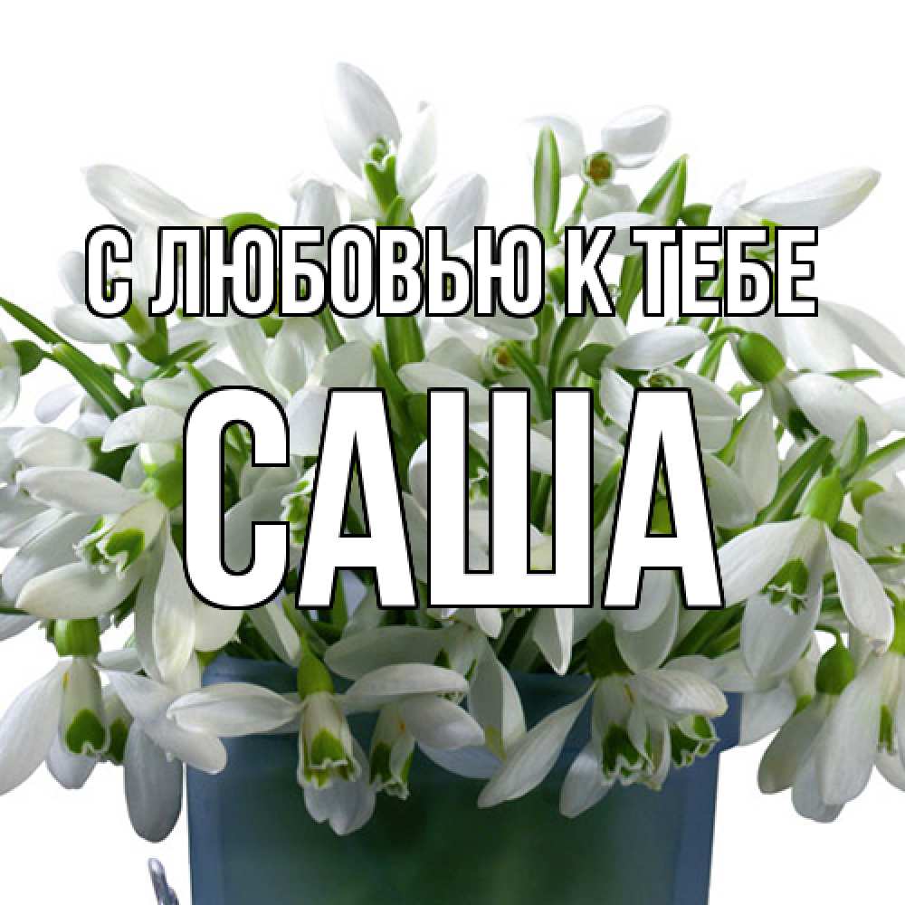 Открытка  с именем. Саша, С любовью к тебе  