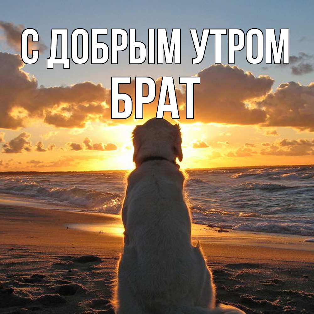 Открытка  с именем. Брат, С добрым утром  