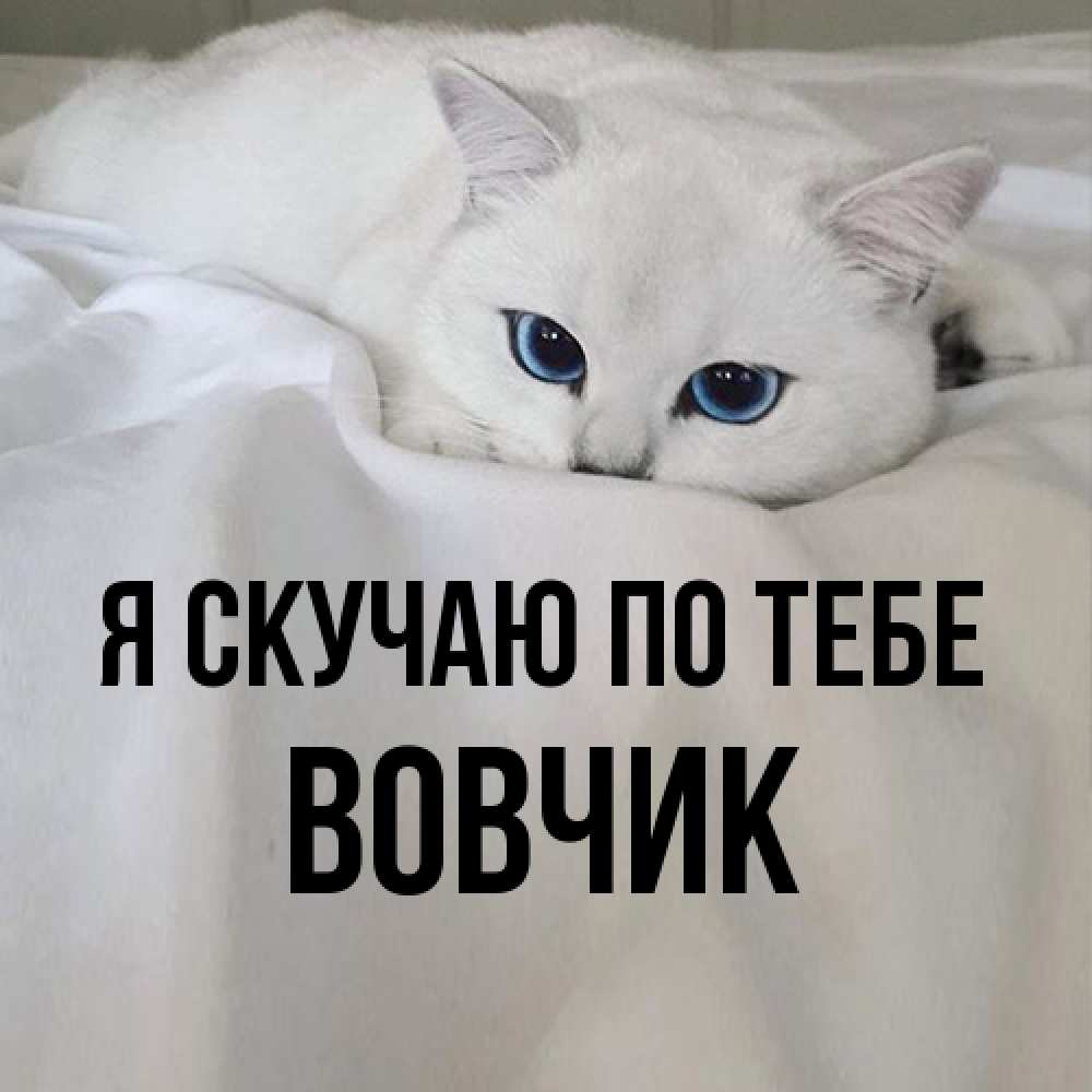 Открытка  с именем. вовчик, Я скучаю по тебе  