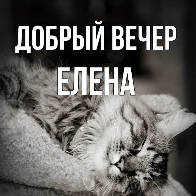 Картинка Добрый вечер, ЕЛЕНА