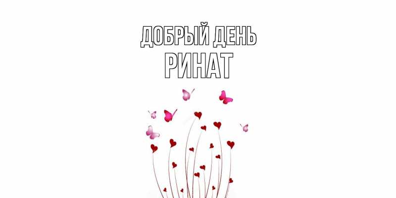 Картинка Добрый день, Ринат
