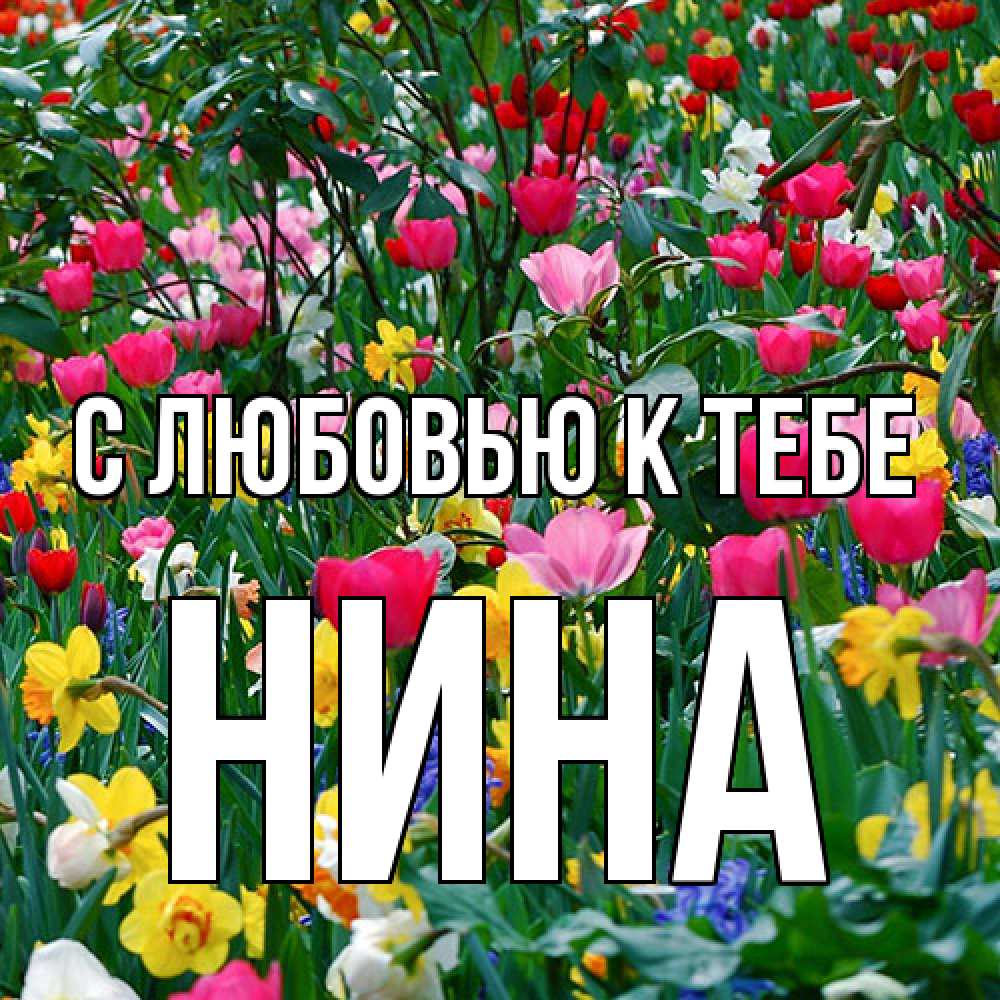 Открытка  с именем. Нина, С любовью к тебе  