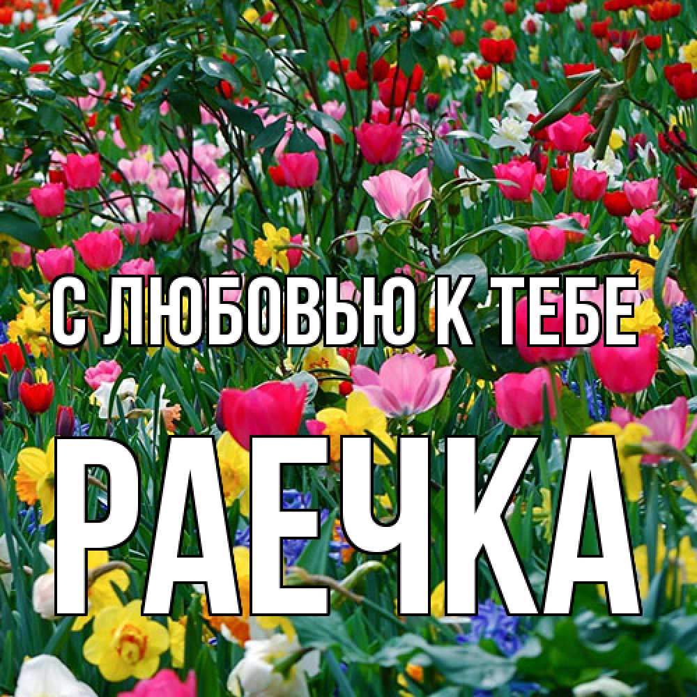 Открытка  с именем. Раечка, С любовью к тебе  