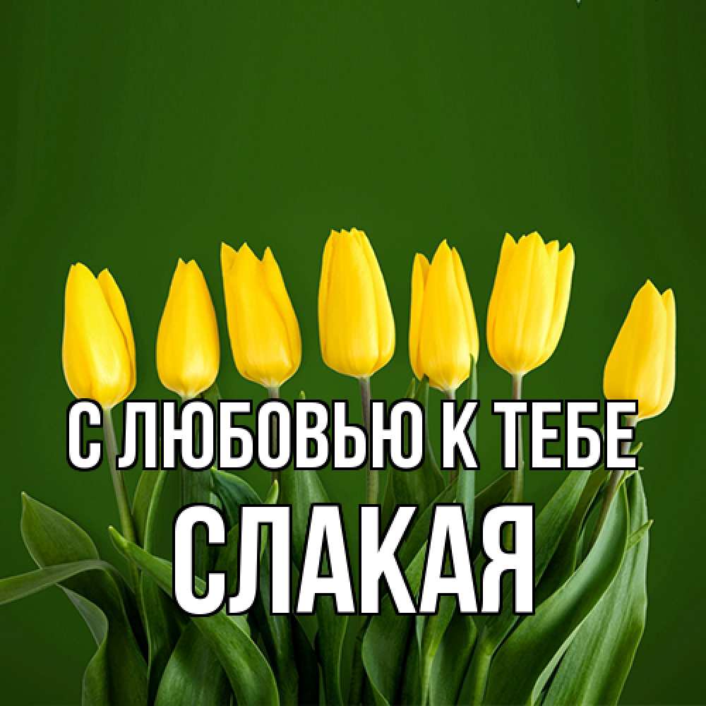 Открытка  с именем. Слакая, С любовью к тебе  