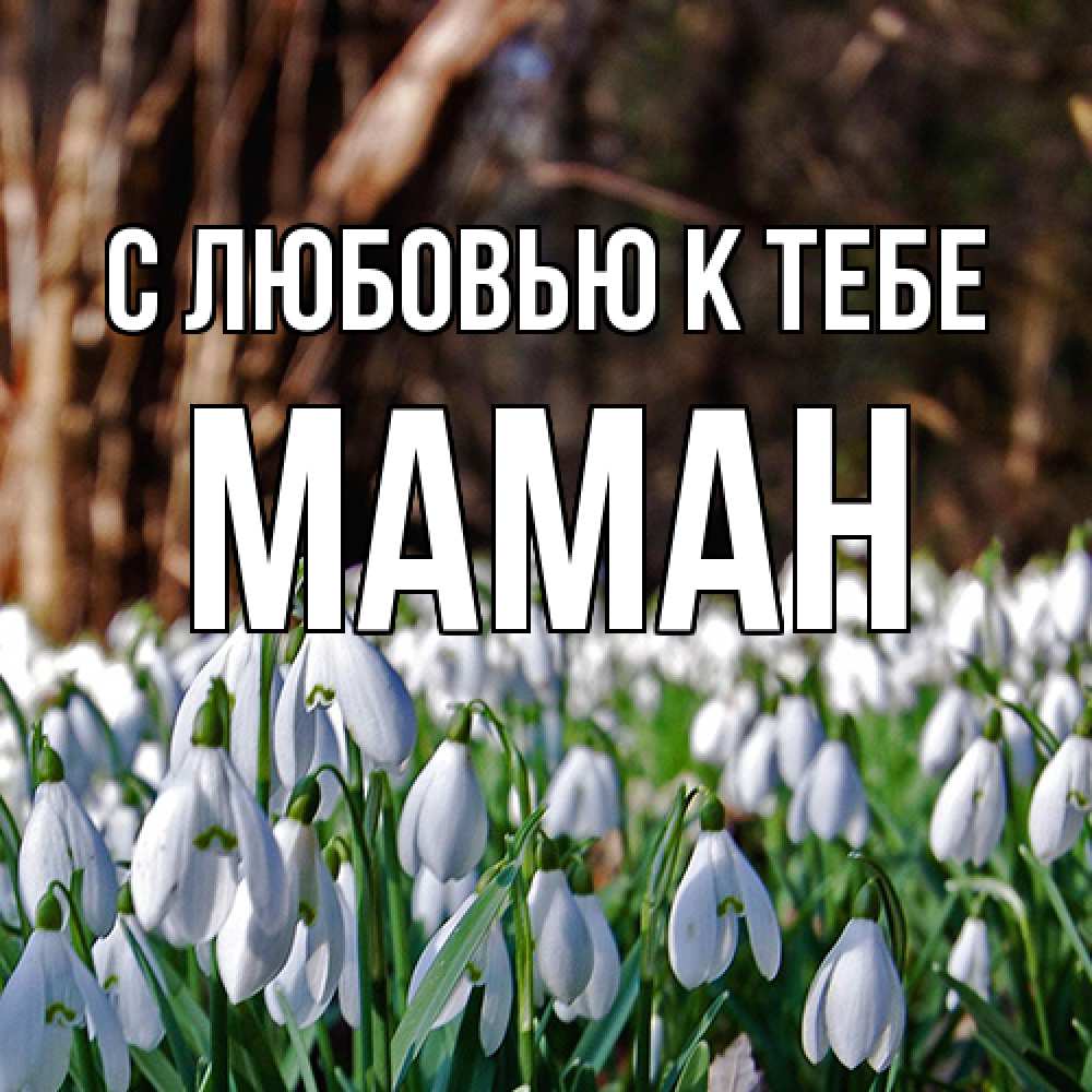 Открытка  с именем. Маман, С любовью к тебе  