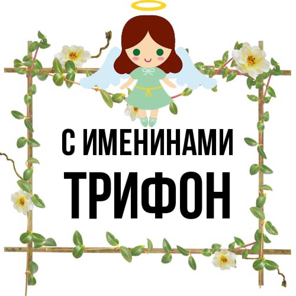 Открытка  с именем. Трифон, С именинами  