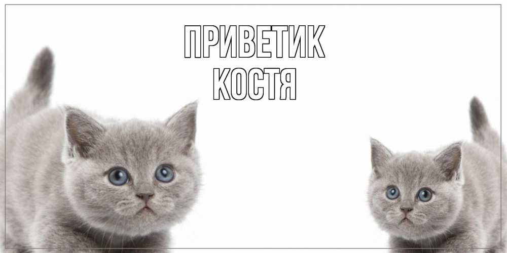 Открытка  с именем. костя, приветик  