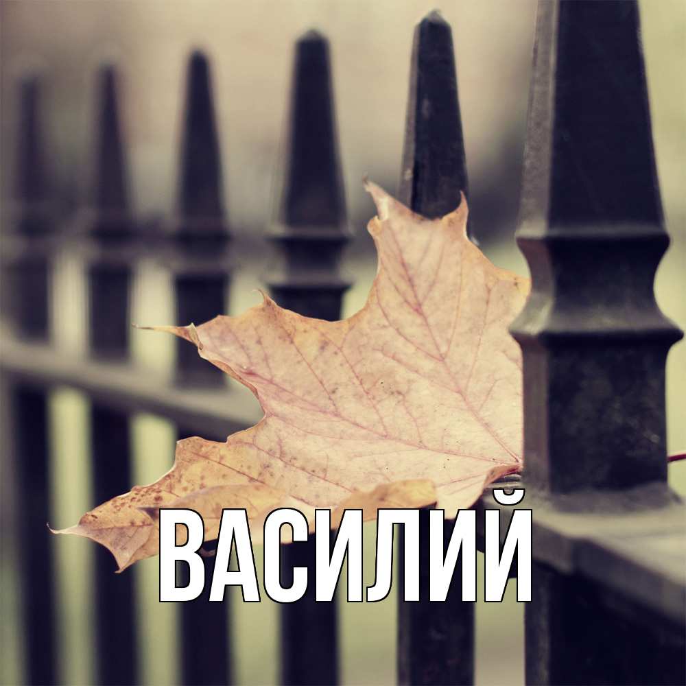 Открытка  с именем. Василий, Главная  