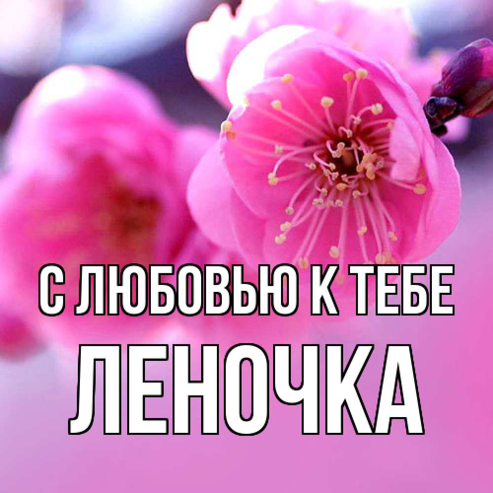 Открытка  с именем. ЛЕНОЧКА, С любовью к тебе  