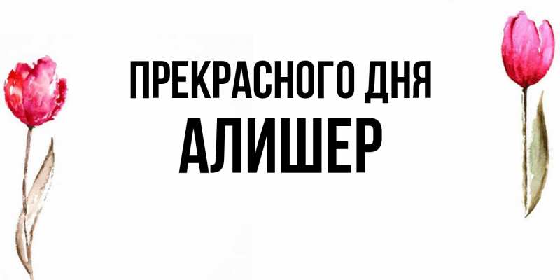 Картинка Прекрасного дня, Алишер