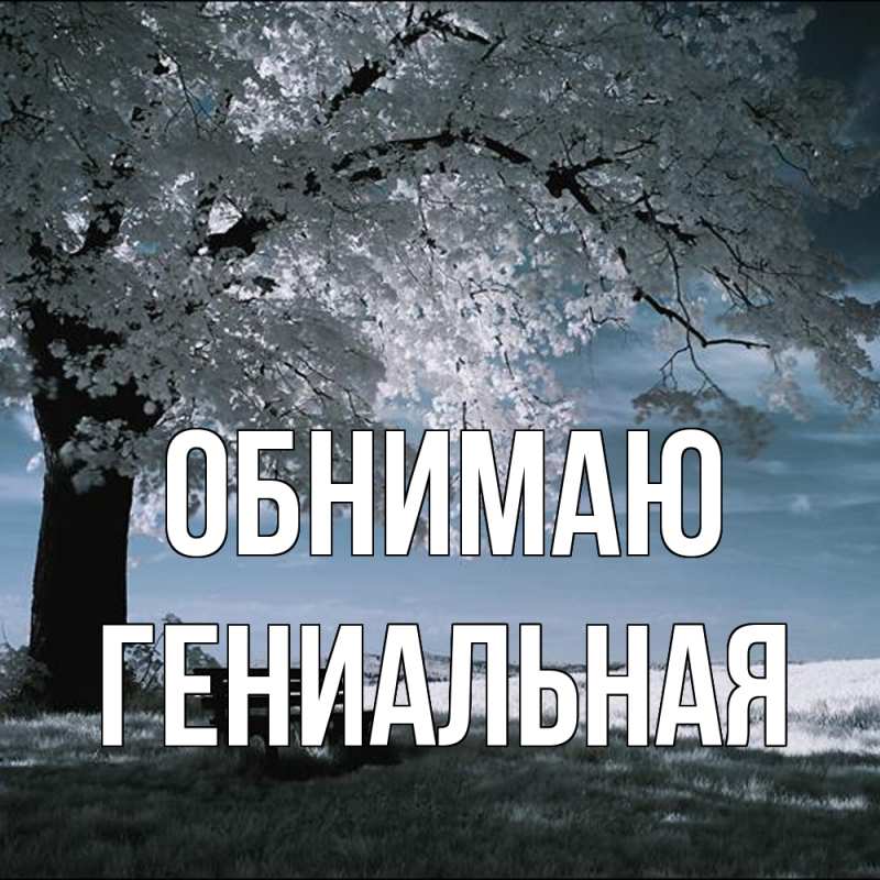 Картинка Обнимаю, Гениальная