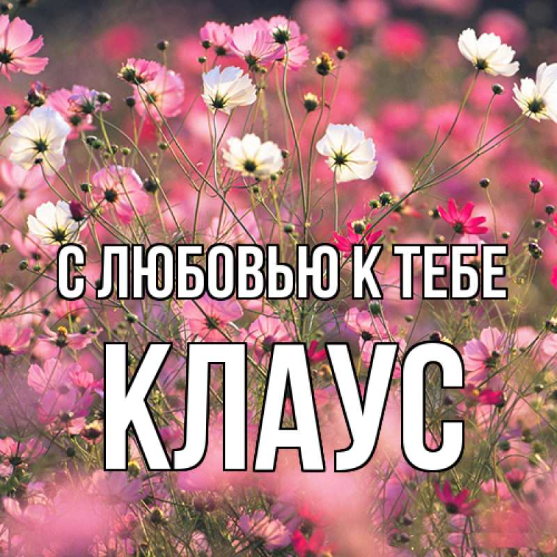 Картинка С любовью к тебе, Клаус